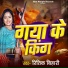 Ritik Bihari
