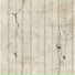Marcello Di Lorenzo