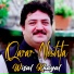 Wisal Khayal