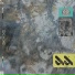 Havik