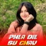 Harkesh Meena