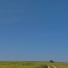 Marsik