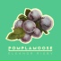 Pomplamoose