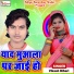 Vikash Bihari
