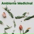 Sonidos de Armonía, Schola Camerata
