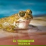 Dj Technodoctor