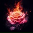 Hillsong Worship
