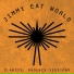 Jimmy Eat World