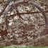 Heirisix
