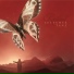 Radical feat. Luryx
