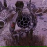 whyme, Krizz