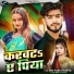 Vivek Bhardwaj, Shivani Singh