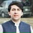 Wazir Pardes