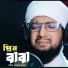 Abir Mohammad Roshan