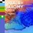 Sigala Jaxomy Ilan Kidron