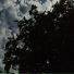 fxgtt
