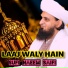 Sufi Naeem Saifi