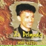 Zé Delgado