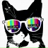 Family Obligation