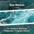 Ocean Currents, Ocean Sounds, Nature Sounds