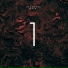 SCRX11