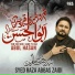 Syed Raza Abbas Zaidi