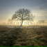 Marcus Denight