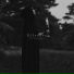Ellereve