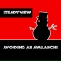 steadyview
