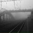 знгб