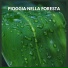 Rumore di Pioggia di TraxLab