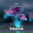 Lvpe