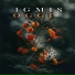 Igmis
