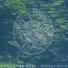 DEEP BEAS NINE