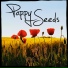 Poppy Seeds