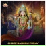 MVTY DHAM, Hemant Joshi, Parthi Vyas