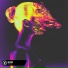 Magic Music