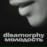 Disamorphy