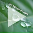 Regengeräusche, Rain Sounds, Nature Sounds