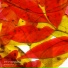 Spectromnesia
