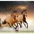 Caveraise