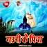Amit Goswami