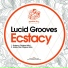 Lucid Grooves