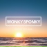 Wonky Sponky