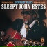Sleepy John Estes