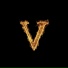Jay V