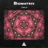 Biomatrix