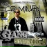 Dj AK Mr. Criminal