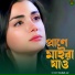 Haidar Ali