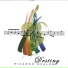 Ricardo Scales feat. James Levi